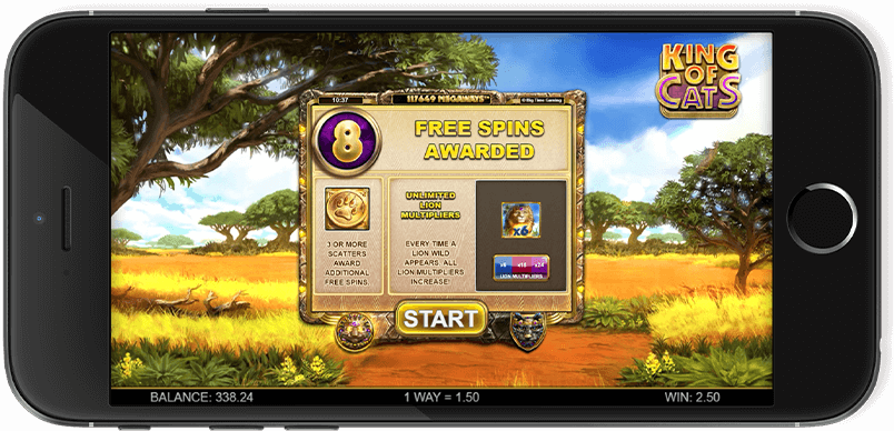 King of Cats Screenshot