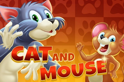 Cat and Mouse Screenshot
