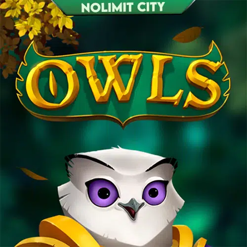 Owls Screenshot