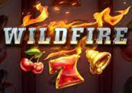 Wild Fire Ranger Screenshot