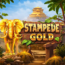 BetSoft Stampede Gold Game at Free Spins Promo