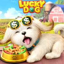 Lucky Dog
