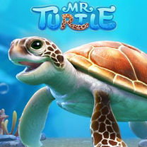 Mr Turtle